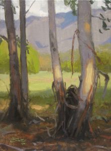 Eucalyptus Grove, giclee print by Dan Schultz. Eucalyptus trees near a meadow with a mountain backdrop.