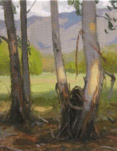Eucalyptus Grove, giclee print by Dan Schultz. Eucalyptus trees near a meadow with a mountain backdrop.