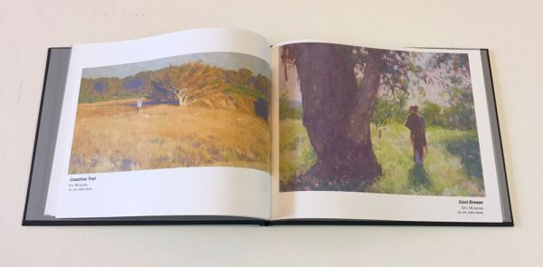 Dan Schultz portfolio book, hardcover with 20 pages of high-quality photos of artwork.