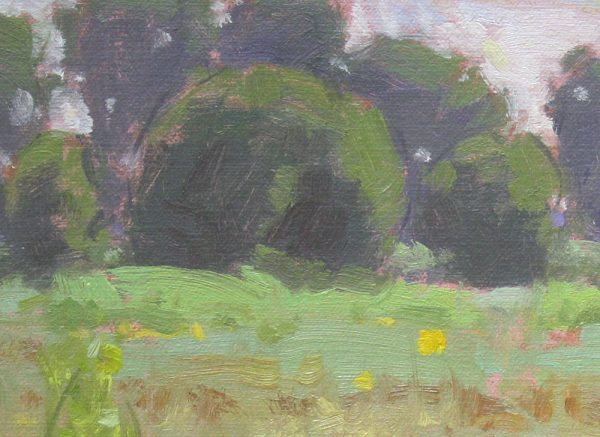 © Dan Schultz · <em>Breezy Meadow</em> (detail) · Oil on Linen Panel