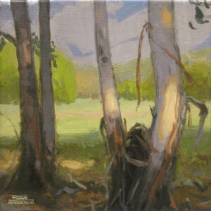Eucalyptus Grove, giclee print by Dan Schultz. Eucalyptus trees near a meadow with a mountain backdrop.