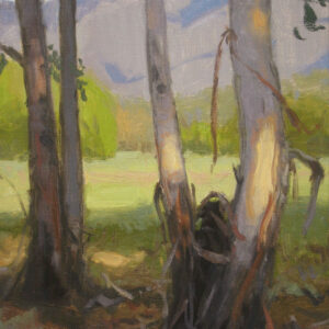 Eucalyptus Grove, giclee print by Dan Schultz. Eucalyptus trees near a meadow with a mountain backdrop.