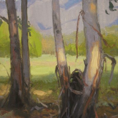 Eucalyptus Grove, giclee print by Dan Schultz. Eucalyptus trees near a meadow with a mountain backdrop.