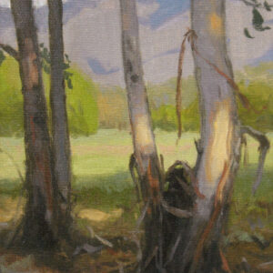 Eucalyptus Grove, giclee print by Dan Schultz. Eucalyptus trees near a meadow with a mountain backdrop.