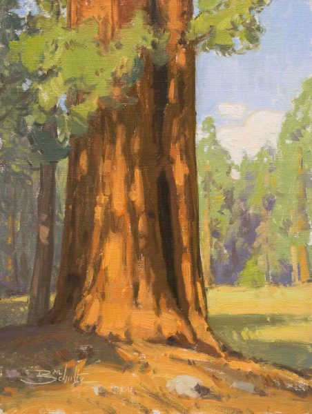 Giant Sequoia (Sequoia National Park) • 12x9 inches • Oil on Linen Panel • Available from Dan Schultz Fine Art in Ojai, California