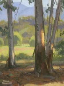 Through the Eucalyptus • 12x9 inches • Giclee Print Through the Eucalyptus, giclee print by Dan Schultz. Eucalyptus tree trunks with by patches of sunlight and a meadow, trees and mountains behind.