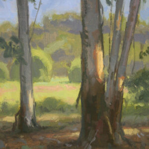 Through the Eucalyptus, giclee print by Dan Schultz. Eucalyptus tree trunks with by patches of sunlight and a meadow, trees and mountains behind.