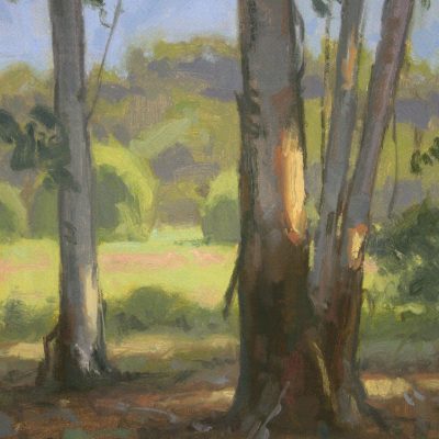 Through the Eucalyptus, giclee print by Dan Schultz. Eucalyptus tree trunks with by patches of sunlight and a meadow, trees and mountains behind.
