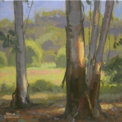 Through the Eucalyptus, giclee print by Dan Schultz. Eucalyptus tree trunks with by patches of sunlight and a meadow, trees and mountains behind.
