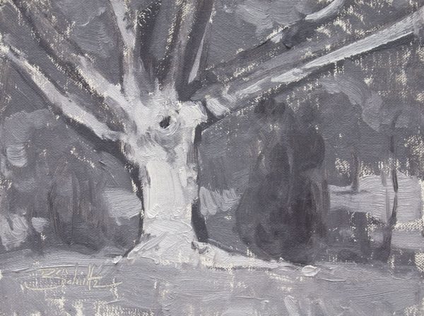 Gray Tree • 6x8 inches • Oil on Linen Panel • Available from Dan Schultz Fine Art in Ojai, California