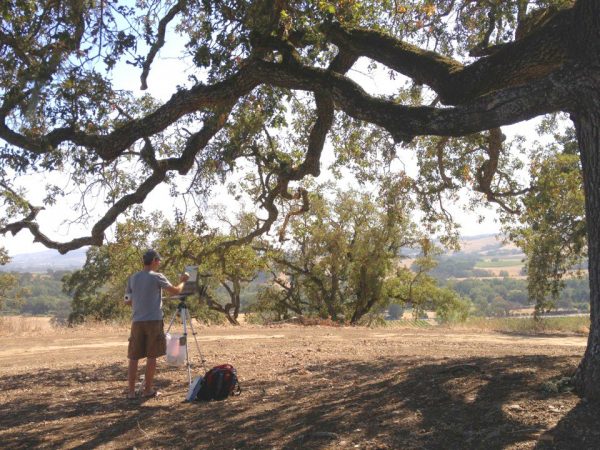 Dan Schultz painting outdoors in the Sonoma Plein Air event in Sonoma, California