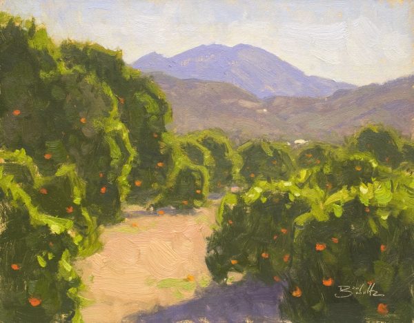 Ojai Orchard • 11x14 inches • Oil on Linen Panel