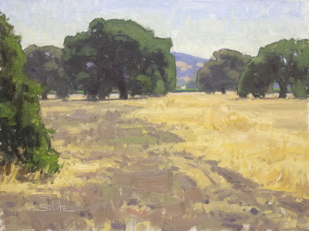 California Oaks • 12x16 inches • Oil on Linen Panel • Available from Dan Schultz Fine Art in Ojai, California