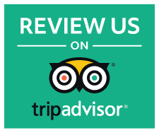 Trip Advisor Logo