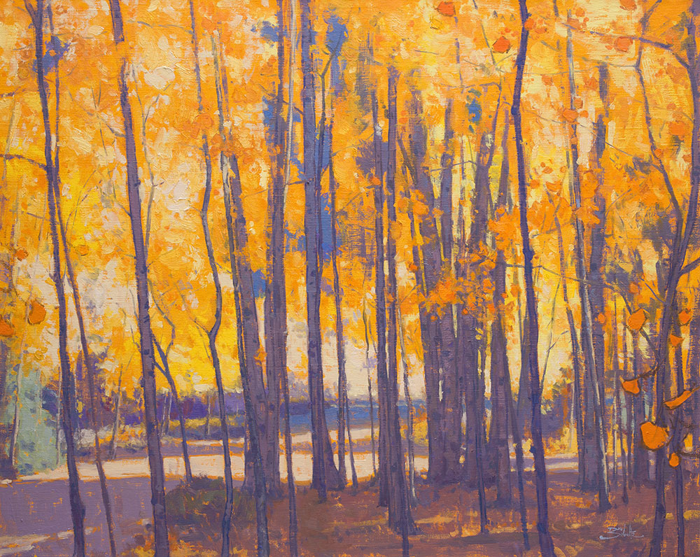 Autumn in the Aspens, 24x30 oil painting by Dan Schultz. Yellow and orange leaves adorn a grove of aspen trees with purple shadows.