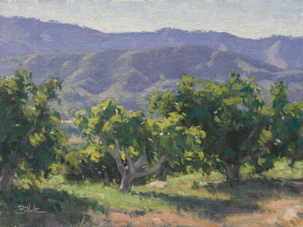 Hillside Avocado Orchard • 12x16 inches • Oil on Linen Panel • Available from Dan Schultz Fine Art in Ojai, California