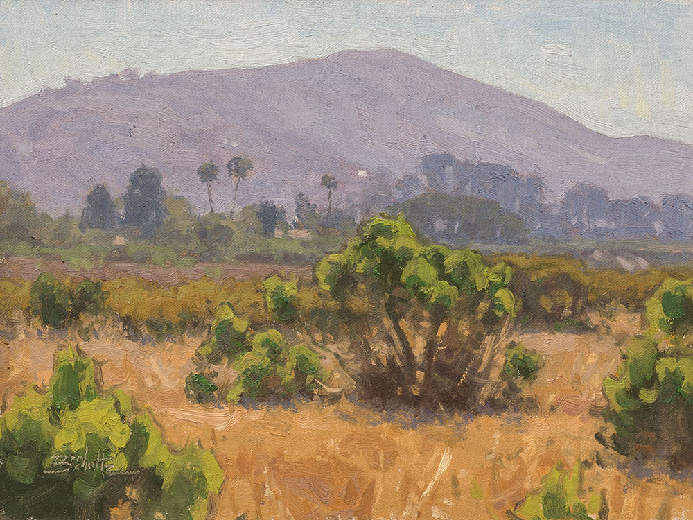 Golden Meadow • 9x12 inches • Oil on Linen Panel • Available from Dan Schultz Fine Art in Ojai, California
