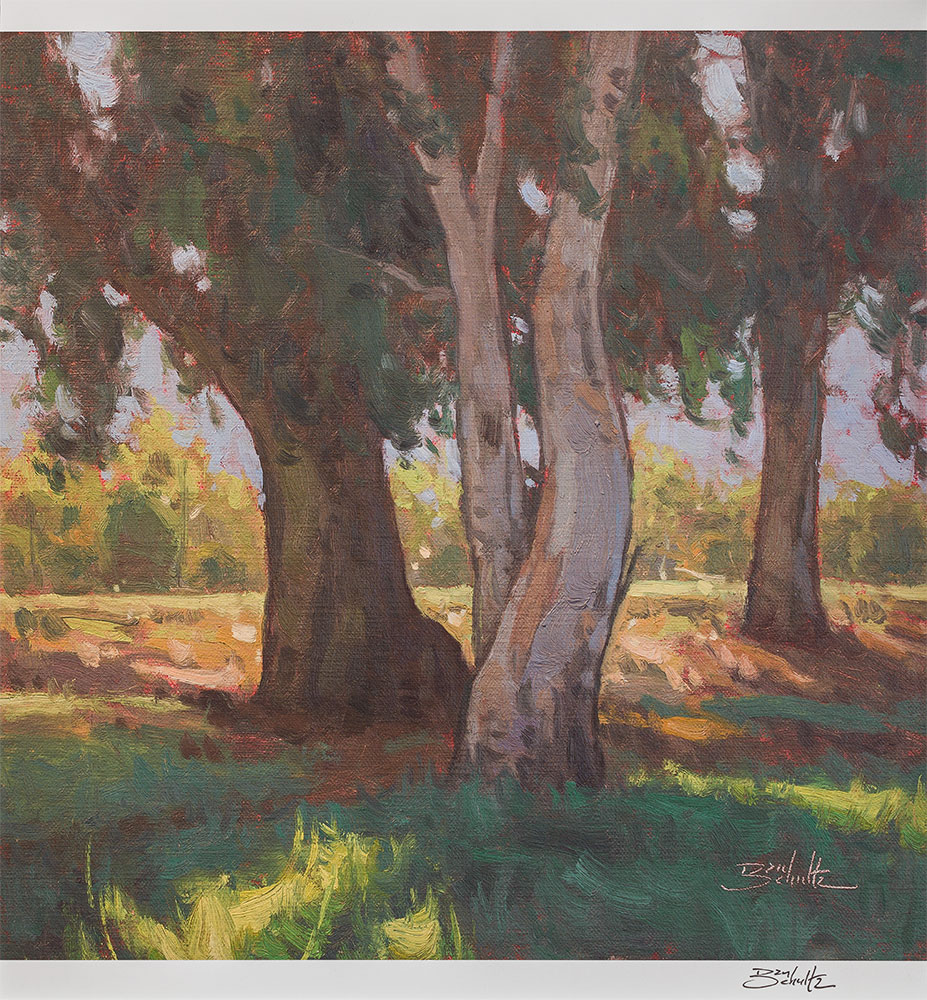 Quiet Shade, 12x12 Giclee Print on Paper by Dan Schultz