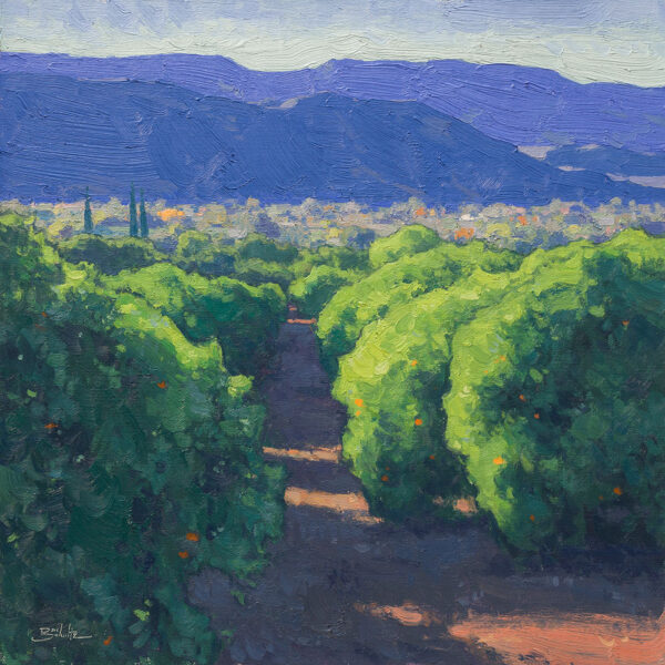 Orchard Overlook • 18x18 inches • Oil on Linen Panel • Available from Dan Schultz Fine Art in Ojai, California