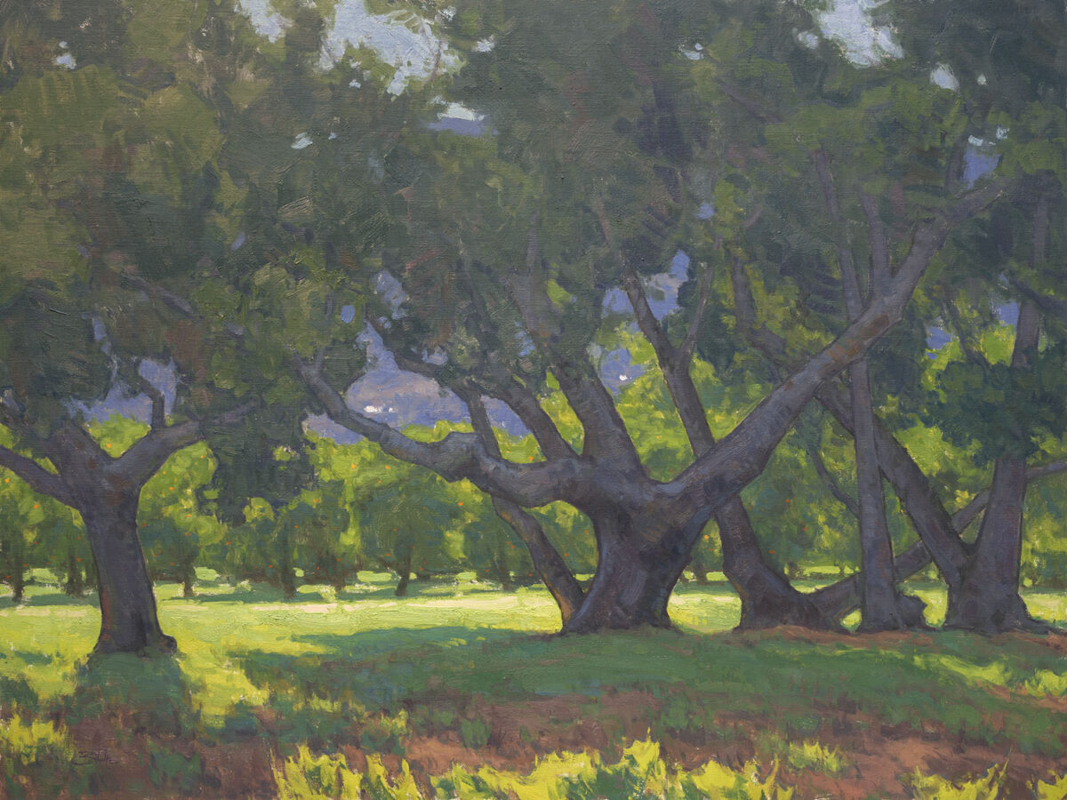 Light Through the Oaks • 30x40 inches • Oil on Linen Panel • Available from Dan Schultz Fine Art in Ojai, California