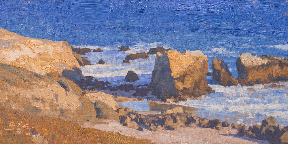 Weathered Coastline 8"x16" oil painting by Dan Schultz