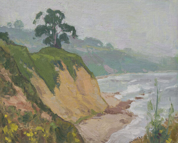 Foggy Coastline • 11x14 inches • Oil on Linen Panel • Available from Dan Schultz Fine Art in Ojai, California