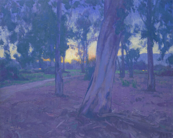 Eucalyptus Twilight • 16x20 inches • Oil on Linen Panel • Available from Dan Schultz Fine Art in Ojai, California