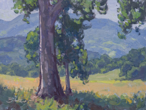 ”Edge of the Meadow” • 9x12 inches • Oil on Linen Panel • Available from Dan Schultz Fine Art in Ojai, California